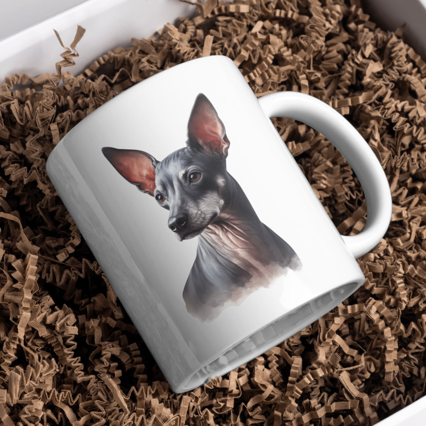 Xoloitzcuintli Dog 11oz White Mug, Perfect Gift Idea As It Comes Boxed.