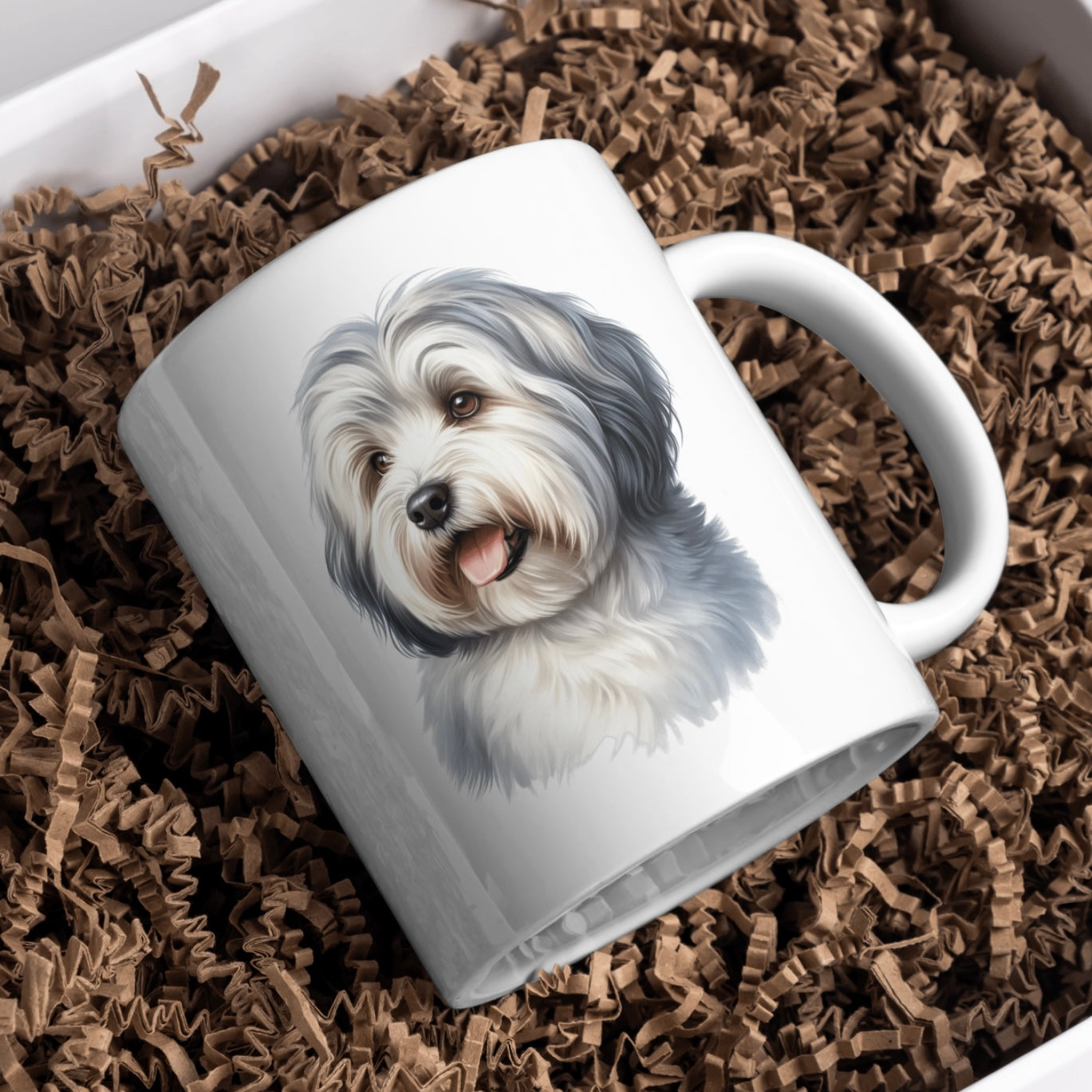 Havanese Dog 11oz White Mug, Perfect Gift Idea As It Comes Boxed.